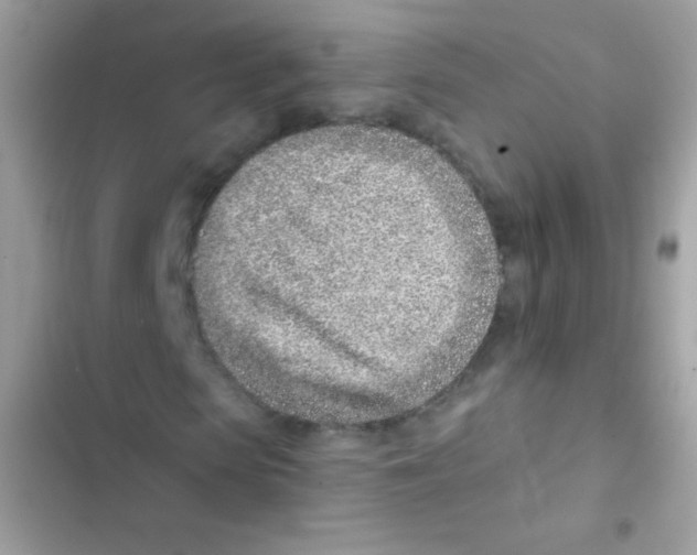 X0000103170913200809192113