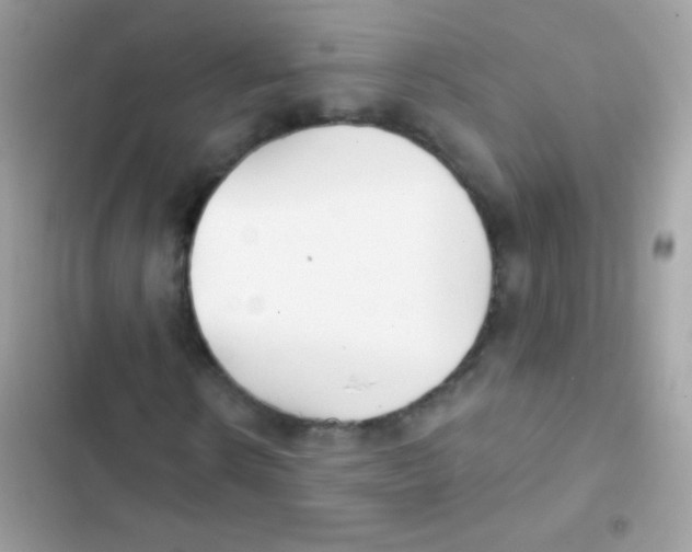 X0000103170914200809192113