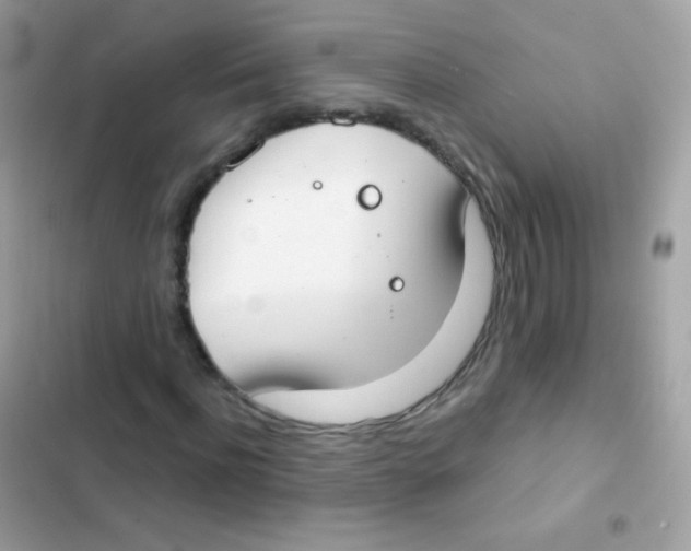 X0000103170916200809192113