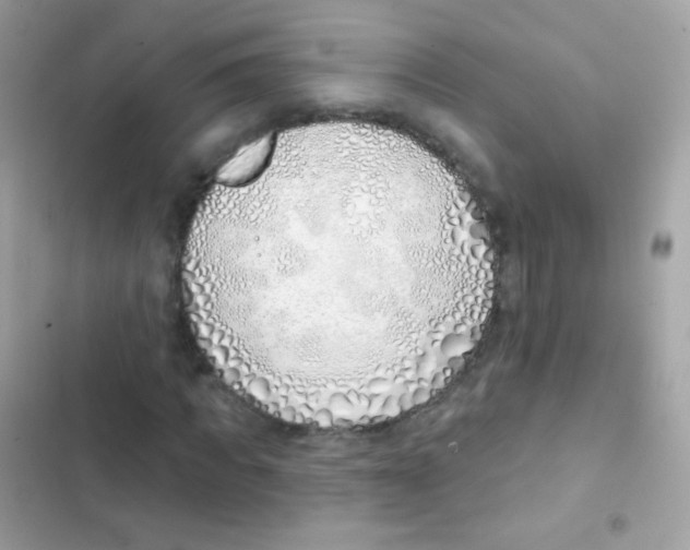 X0000103170917200809192113