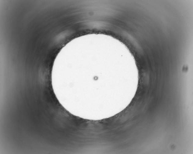 X0000103170918200809192113