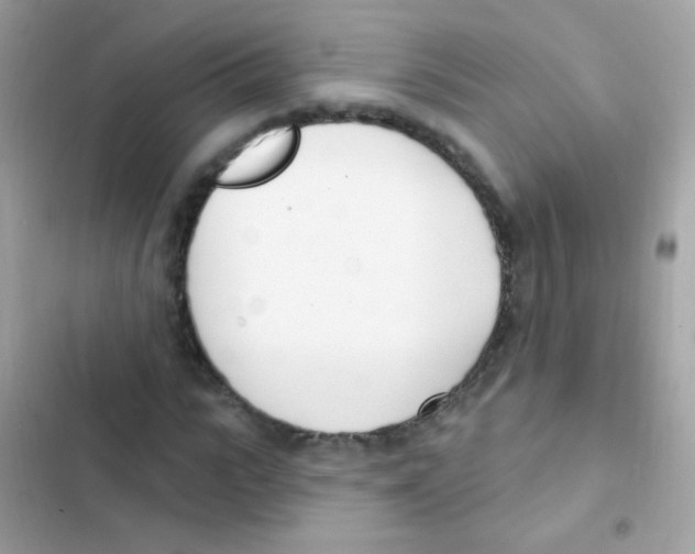 X0000103170919200809192113