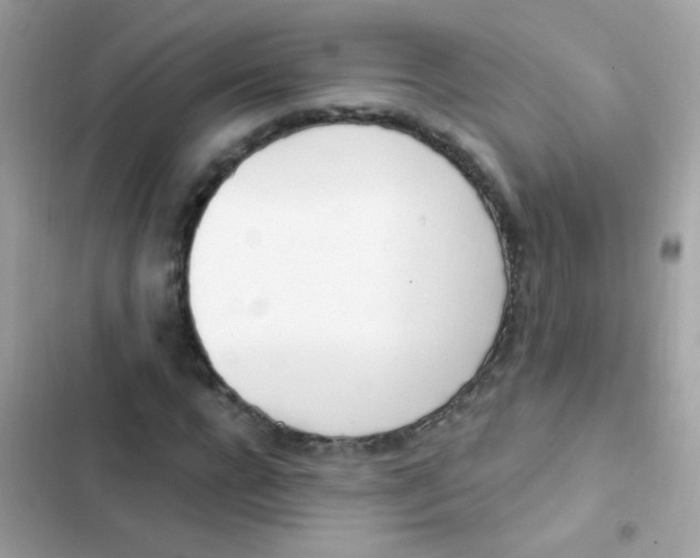 X0000103170920200809192113