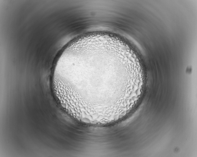 X0000103170921200809192113