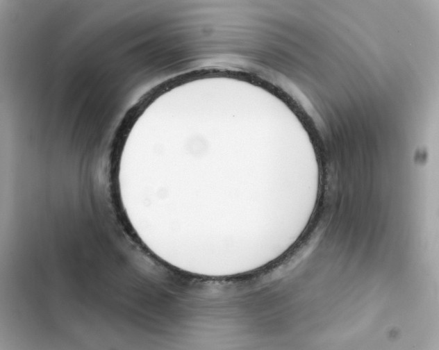 X0000103170923200809192113