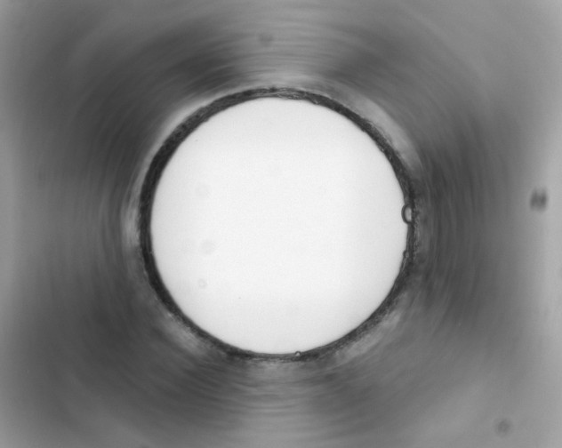 X0000103170924200809192113