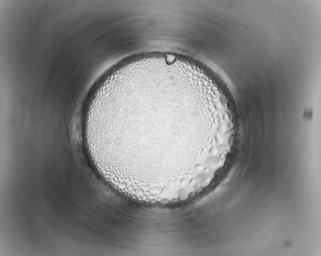 X0000103170925200809192113