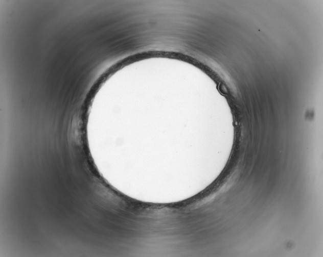 X0000103170926200809192113