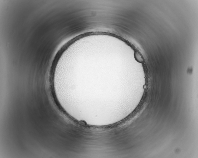 X0000103170928200809192113