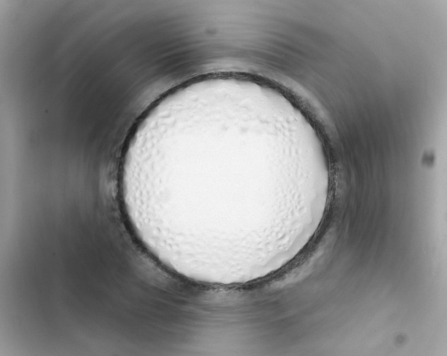 X0000103170929200809192113