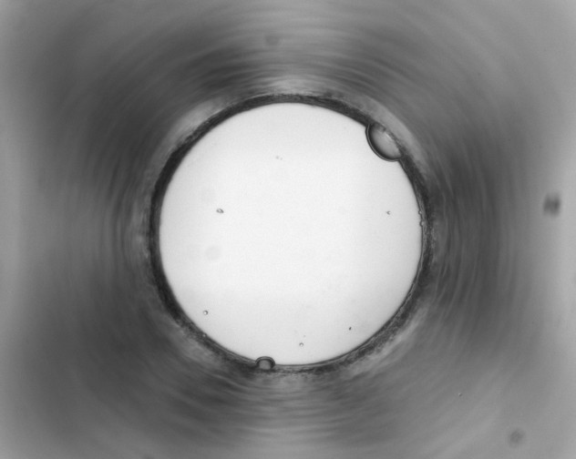 X0000103170930200809192113