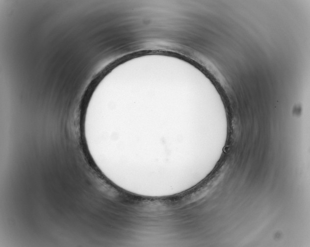 X0000103170931200809192113