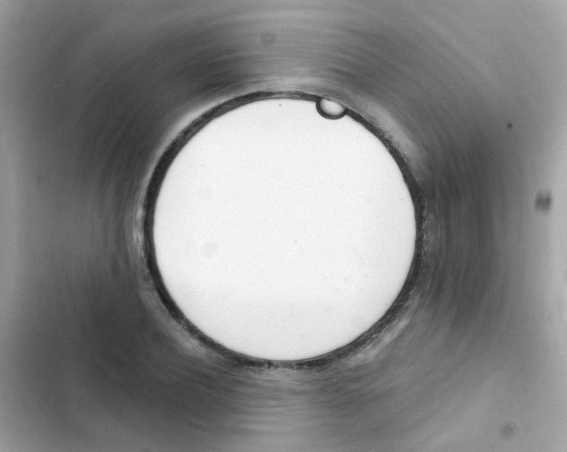 X0000103170932200809192113