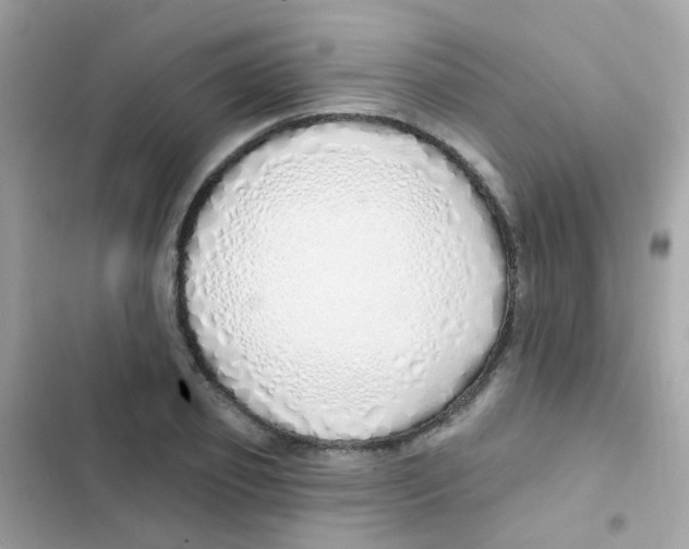 X0000103170933200809192113