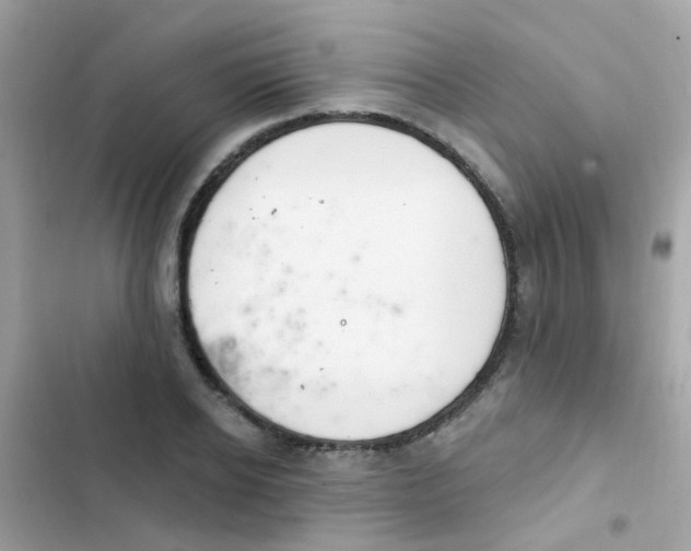 X0000103170934200809192113