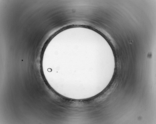 X0000103170935200809192113