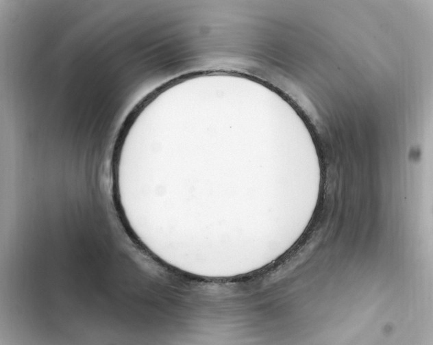 X0000103170936200809192113