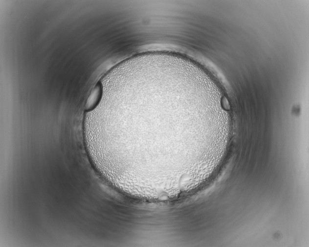 X0000103170937200809192113