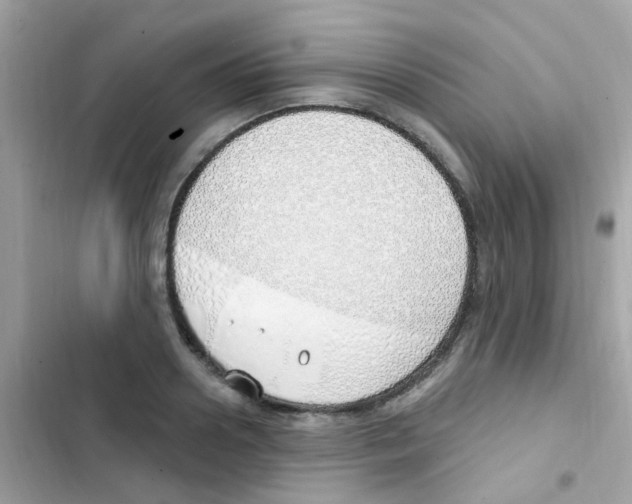 X0000103170938200809192113