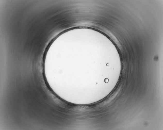 X0000103170939200809192113