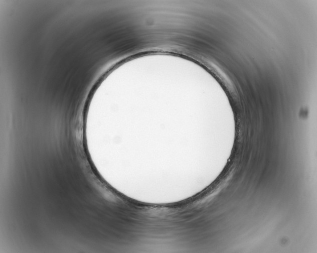 X0000103170940200809192113