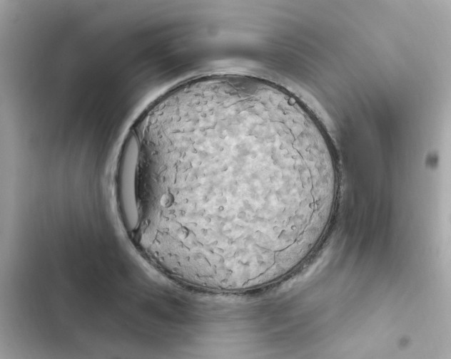 X0000103170941200809192113