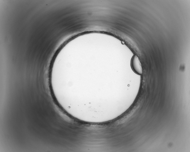 X0000103170942200809192113