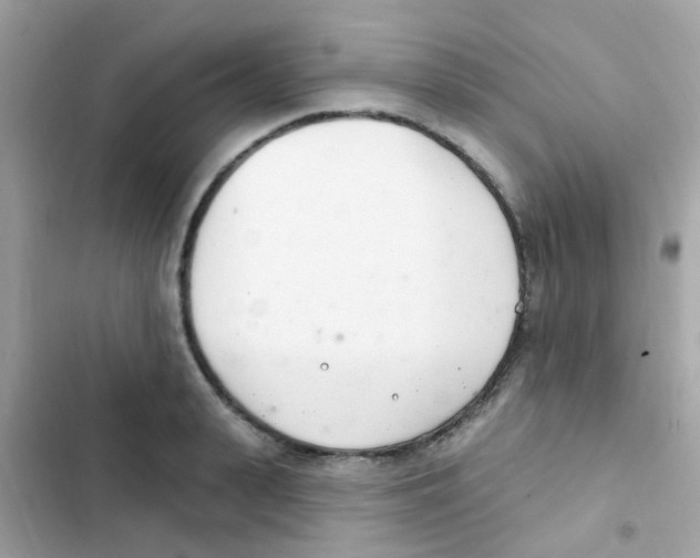 X0000103170943200809192113