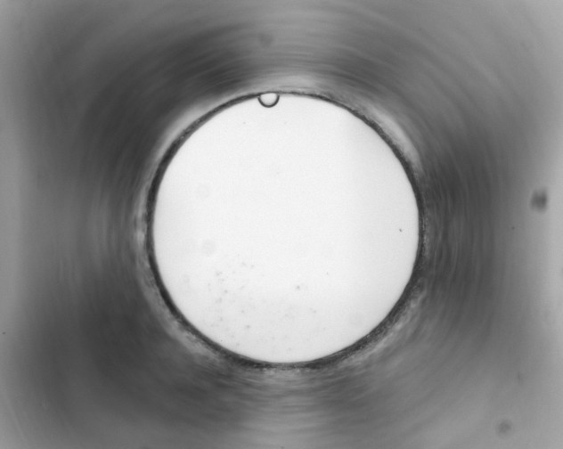 X0000103170944200809192113