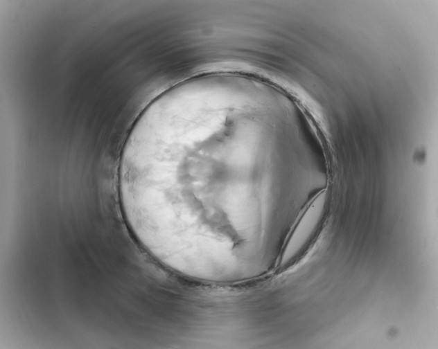 X0000103170945200809192113