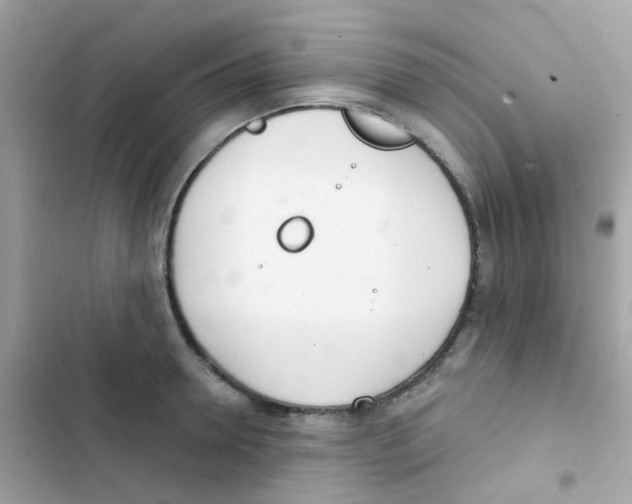 X0000103170946200809192114