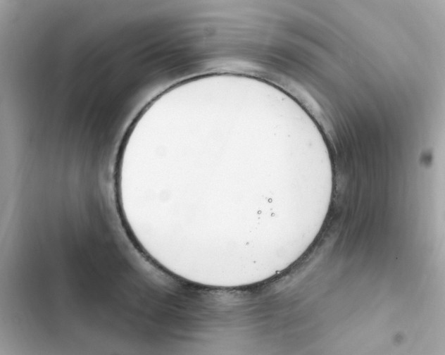 X0000103170947200809192114