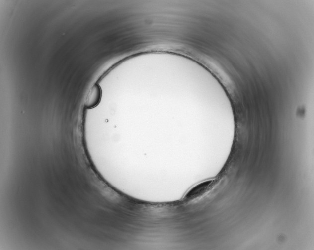 X0000103170948200809192114