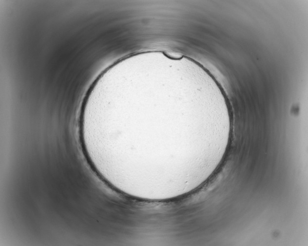 X0000103170949200809192114