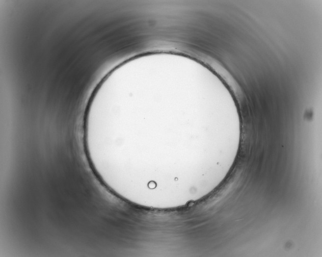 X0000103170951200809192114