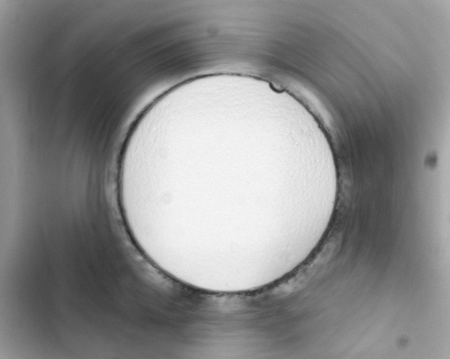 X0000103170952200809192114