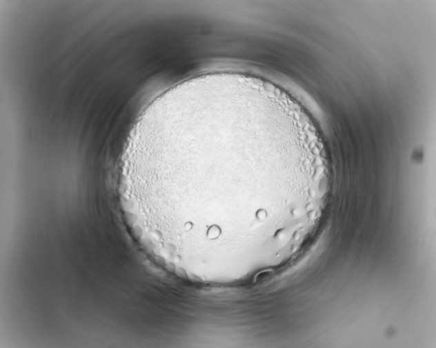 X0000103170953200809192114