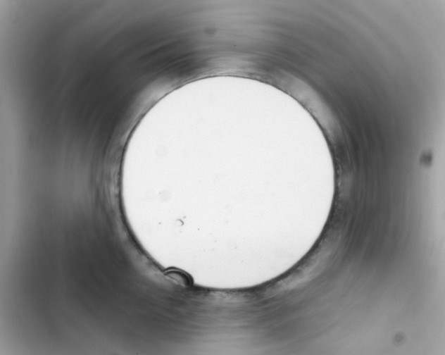 X0000103170954200809192114