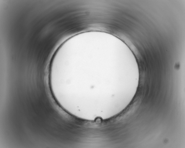 X0000103170955200809192114