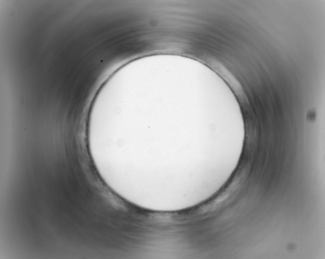 X0000103170956200809192114