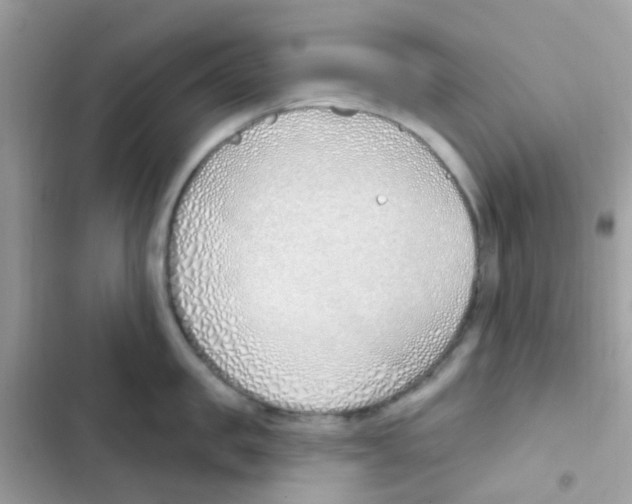 X0000103170957200809192114