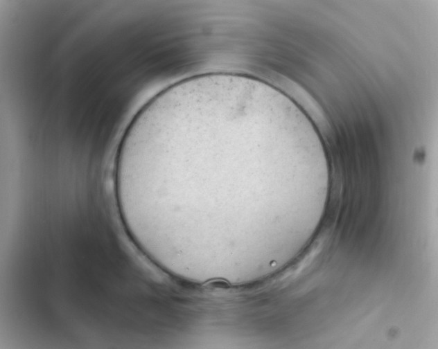 X0000103170958200809192114