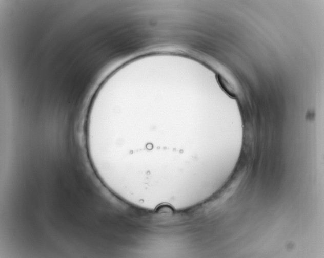 X0000103170959200809192114