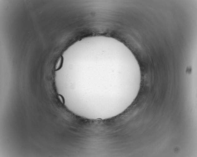 X0000103170961200809192113