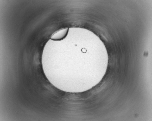 X0000103170962200809192113