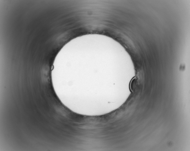 X0000103170963200809192113