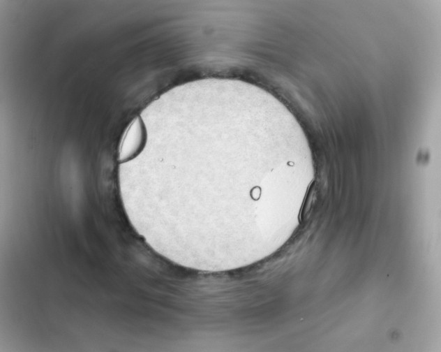 X0000103170964200809192113