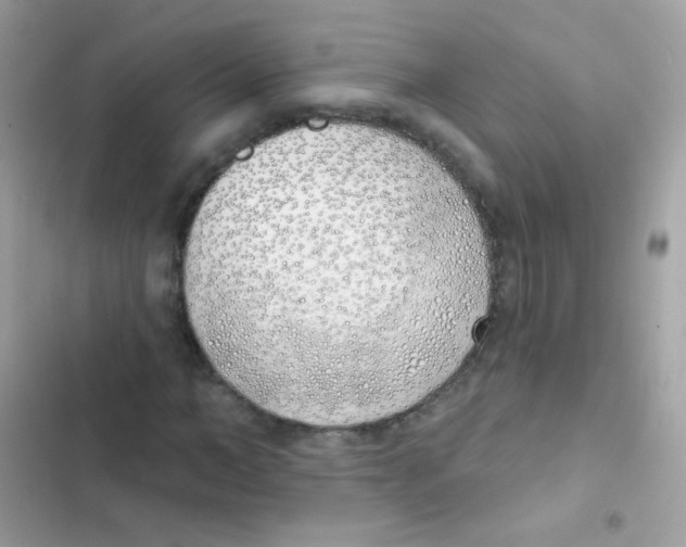 X0000103170966200809192113