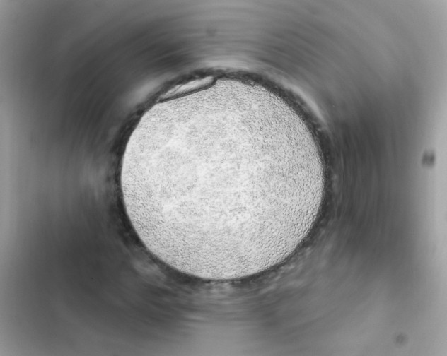 X0000103170968200809192113