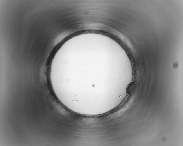 X0000103170970200809192113